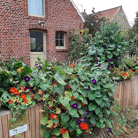 Les Jardins D'Olus Wandignies-Hamage Exterior foto